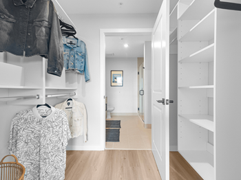 Walk-in closets with modular shelving system*